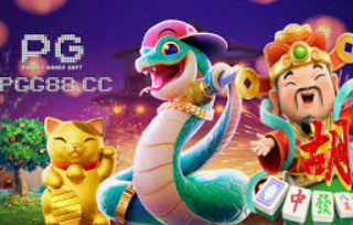 pg软件